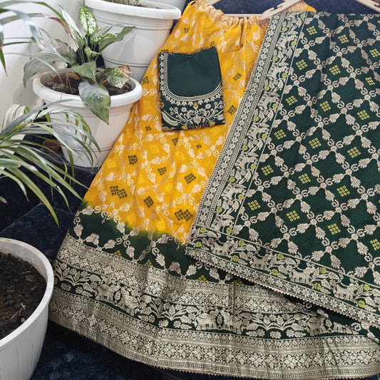 Banarasi Chaniya Choli by RNR